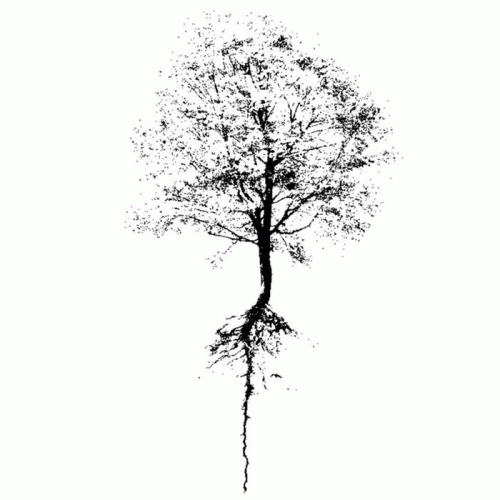 Noth : Organic Gardening